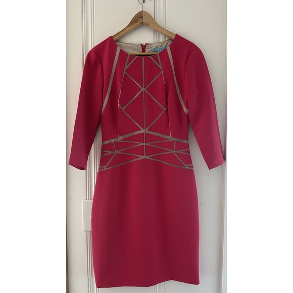 ANTONIO MELANI Dresses & Skirts - Antonio Melani Size 10 Pink Sheath Dress Mesh Geometric Detail Career Cocktail